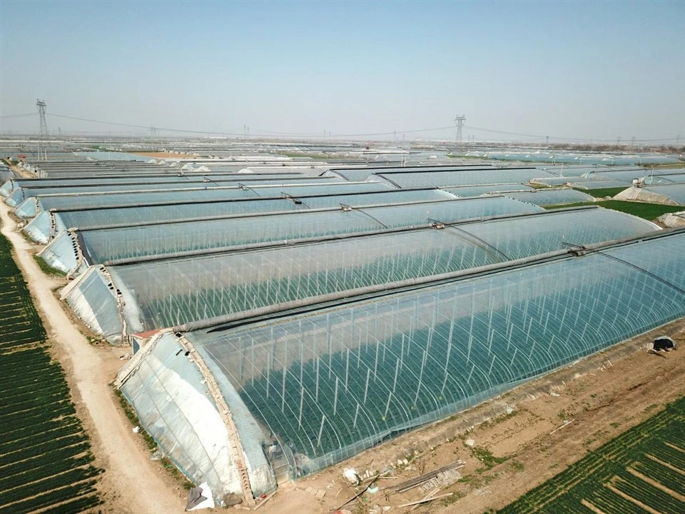 PO Agriculture Greenhouse Plastic Film PO Agriculture Greenhouse Plastic Film