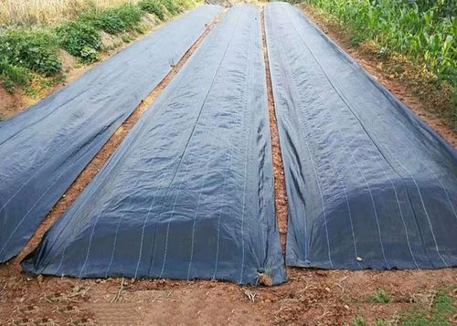 Fabric Weed Control Mat Fabric Weed Control Mat