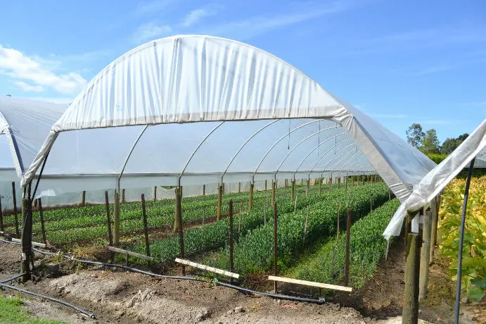 Shouzheng Knowledge Class: What Is Agricultural Film