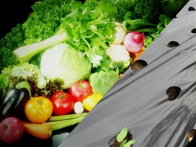 Shouzheng Knowledge Class: The Types Of Agricultural Film