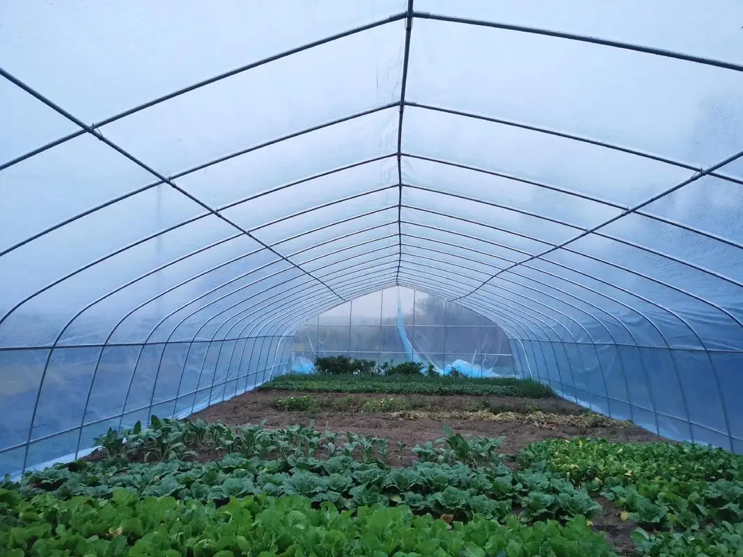 Shouzheng Knowledge Class: What Is The Common Agricultural Film