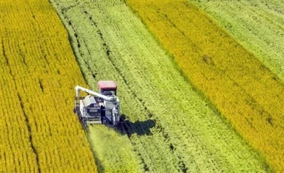 Shouzheng Knowledge Class: Agricultural Film In Korea