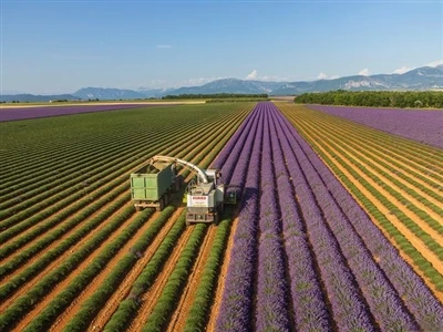 Shouzheng Knowledge Class: Agricultural Film In Europe