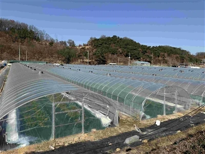 Shandong Shouzheng Plastic Industry Co., Ltd. Launched The Overseas Customer ...