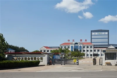 Shandong Shouzheng Plastic Film: Your Trusted Partner For High-Quality Films ...