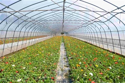 UV Protection Film For Flower Planting