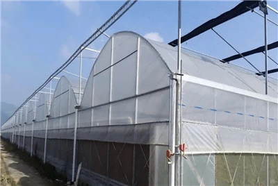 EVA Agricultural Film Series Products