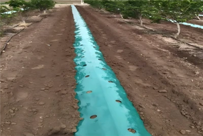 Green Plastic Mulch