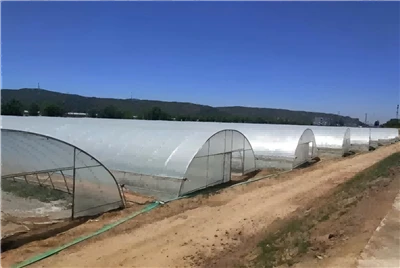 PO Agricultural Film