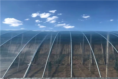 PO Greenhouse Plastic Film For Shine-Muscat Grape