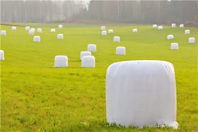 Silage Film