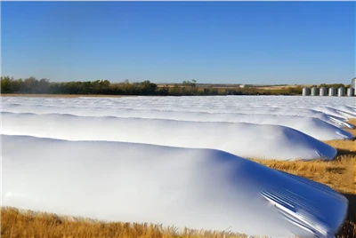 Silo Bag For Cereals
