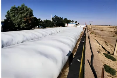 Silo Bag For Legumes