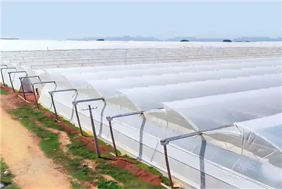 Transparent Plastic Film